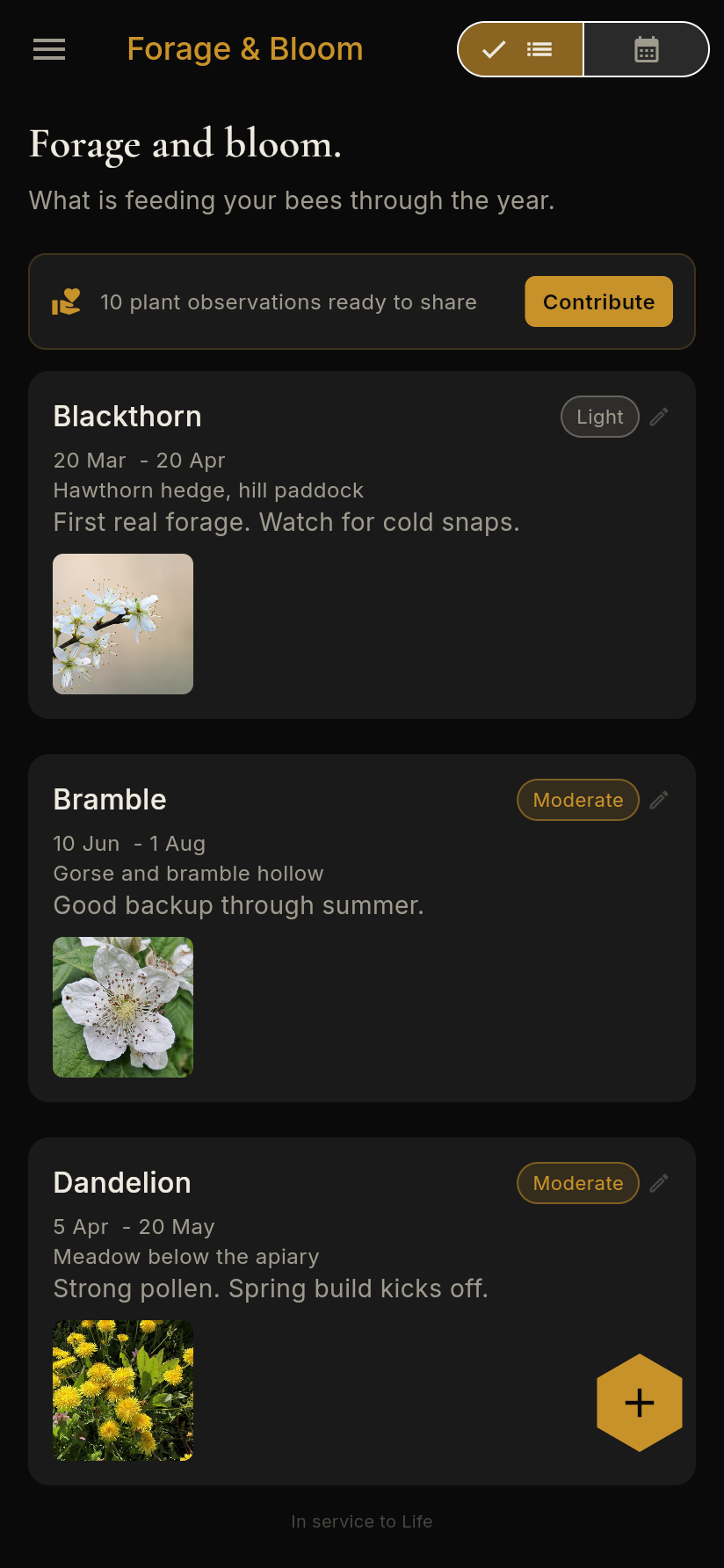 Forage and bloom calendar