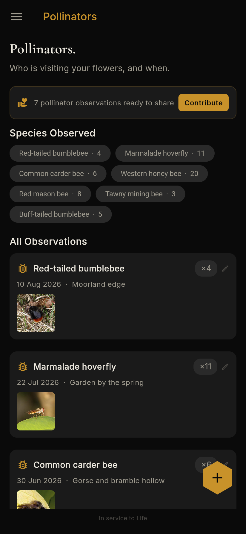 Native pollinator log